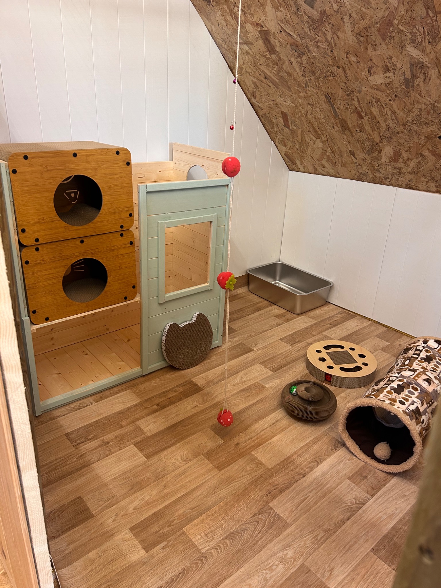 Box intérieur de la pension pour chats